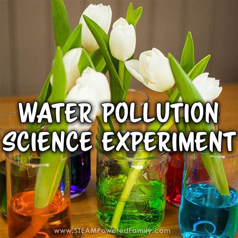 Water Pollution Experiment Studying Osmosis And The Effects Pollution Science Experiment - Pollution Science Experiment