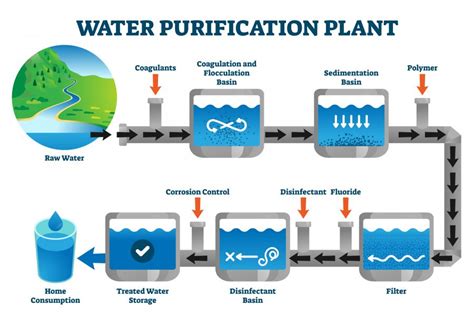 Water Purification Description Processes Amp Importance Water Purification Science Experiment - Water Purification Science Experiment
