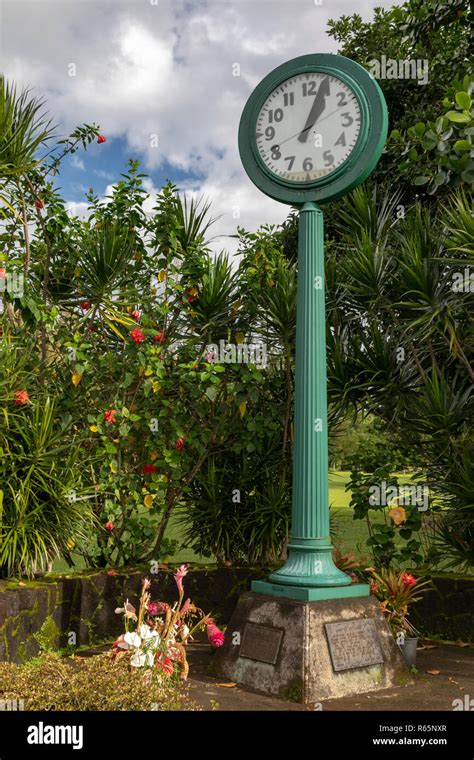 Water Tsunami Pro Timer Clock