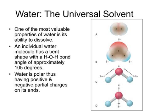 Water Worksheets Water The Universal Solvent Worksheet - Water The Universal Solvent Worksheet