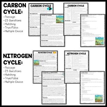 Read Online Water Carbon Nitrogen Cycle Color Sheet Answers 167 Pdf 