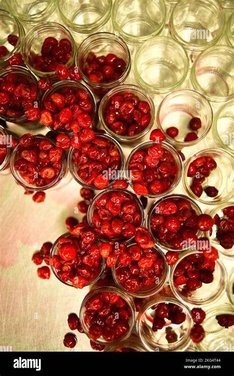 watercherries nude