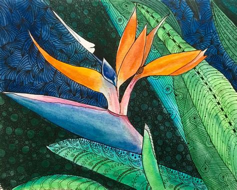 Watercolor Bird Of Paradise Paint Along Demo Tutorial Bird Of Paradise Coloring Page - Bird Of Paradise Coloring Page
