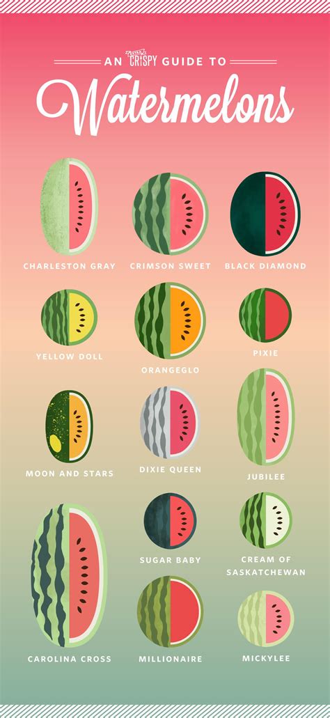 watermelon colors