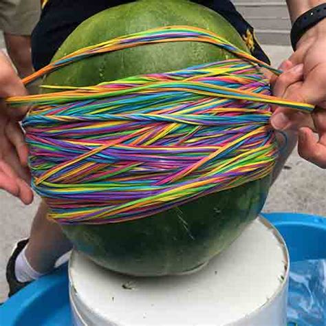 Watermelon Pop Fizzics Education Watermelon Science Experiments - Watermelon Science Experiments
