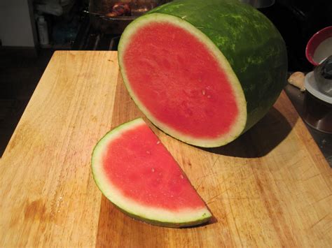 Watermelon porn