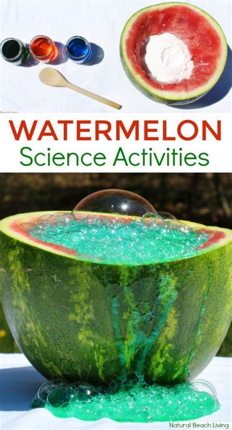 Watermelon Science Activities Baking Soda And Vinegar Science Watermelon Science Experiments - Watermelon Science Experiments