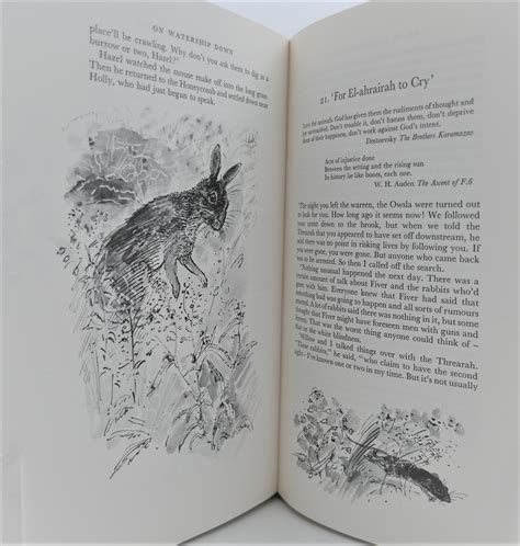 Watership Down Chapter Summary