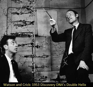Watson E Crick