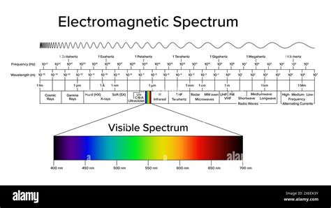 Waves And Electromagnetic Spectrum Answer Key