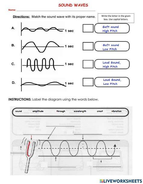 waves and sounds skill sheet