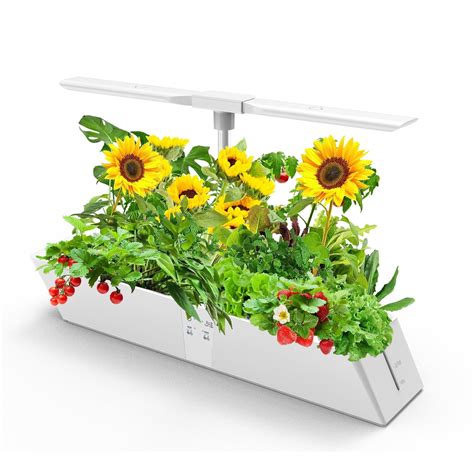 Way To Grow
