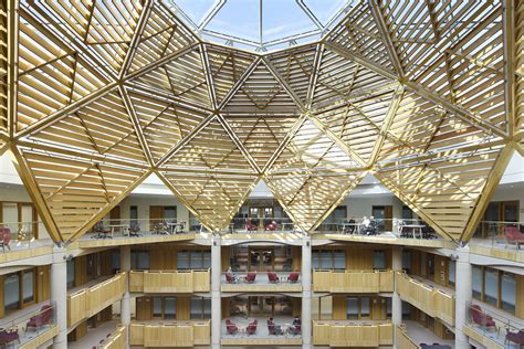 Ways Of Structure Building Oxford Studies In Theoretical Linguistics