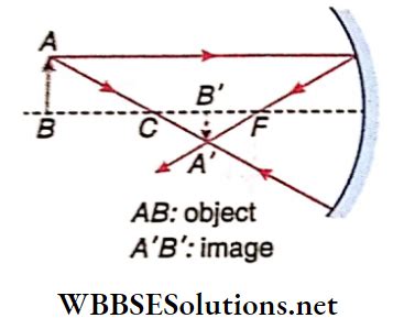 Full Download Wbchse Reading Optics Chapter 