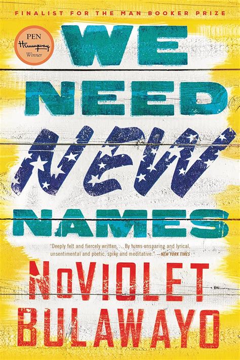 We Need New Names Chapter Summary