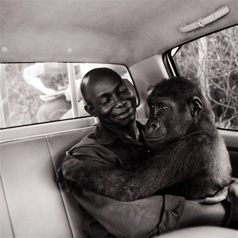 We The Animals Book