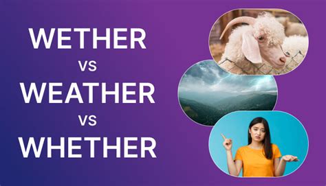 Weather And Wether