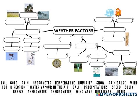 Read Online Weather Factors Connecting Concepts Answer Sheet 