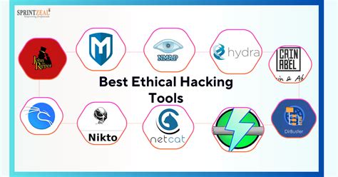 Web Hacking Tools David C Epler