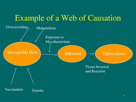 Web Of Causation