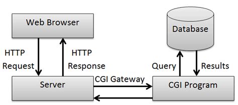 Web Programming With Cgi