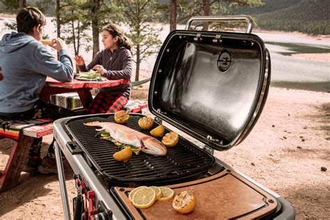 Weber Stephen Bbq