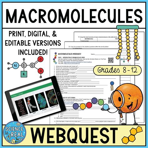 Webquest Macromolecules