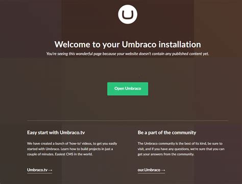 website Using Umbraco And Getting Started
