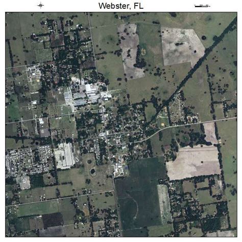 webster florida