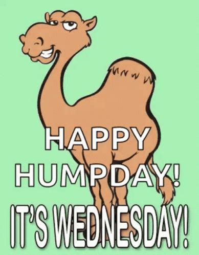 Wednesday hump day gif
