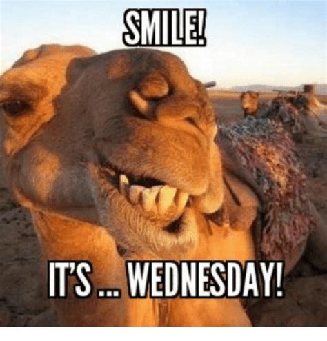 Wednesday Meme Positive   30 Really Funny Wednesday Memes To Get You - Wednesday Meme Positive