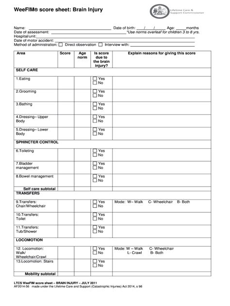 weefim assessment form