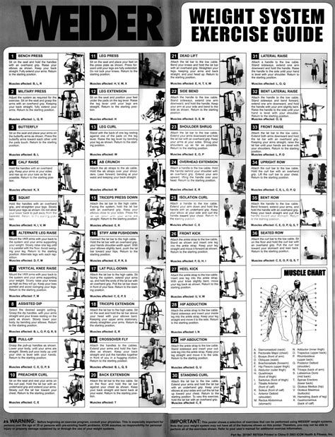 weider home gym exercise guide