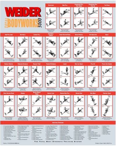 weider total body works exercise chart