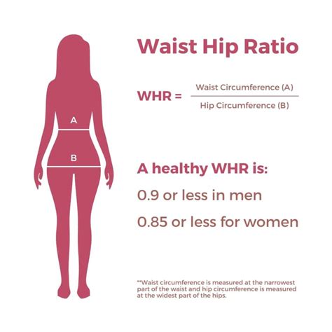 Weight To Hip Ratio