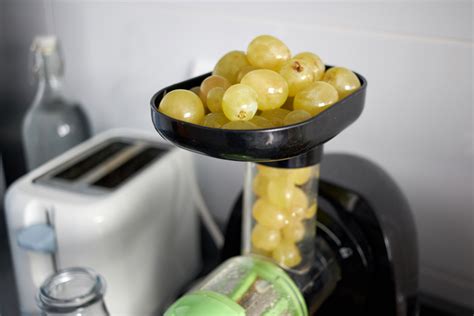 weintrauben entsaften mit oder ohne stiel