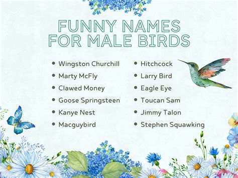 Weird Bird Names