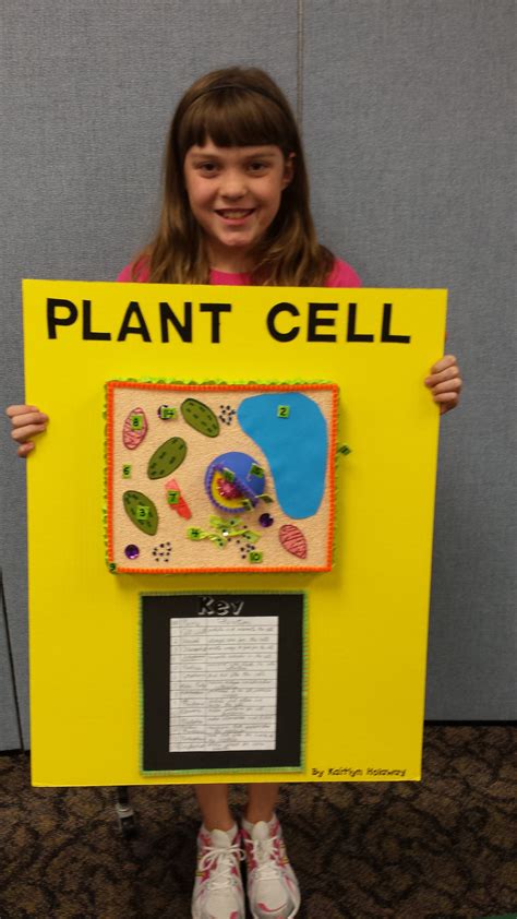 Weird Science 5th Grade Plant Cell Project It 5th Grade Science Cells - 5th Grade Science Cells