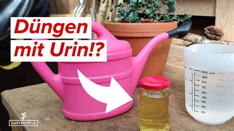 welche pflanzen kann man mit urin düngen