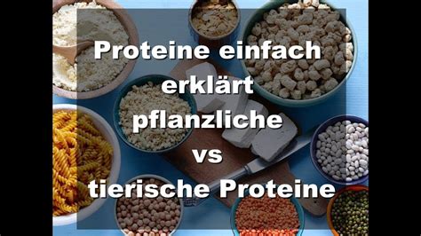 welche pflanzen belief protein