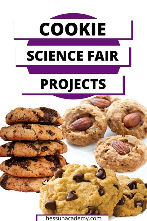 Welcome To Cookie Science Science News Explores Science Of Cookies - Science Of Cookies