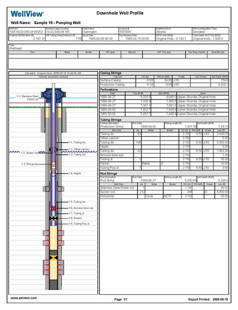 wellbore diagram template