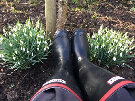 wellies, compost & a radical restructure Huerto