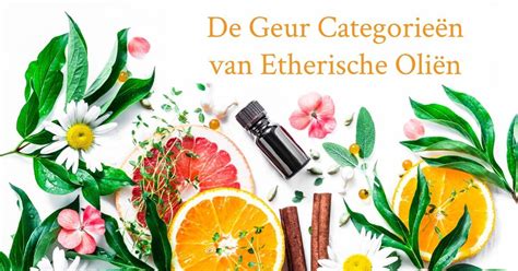 werking etherische olie