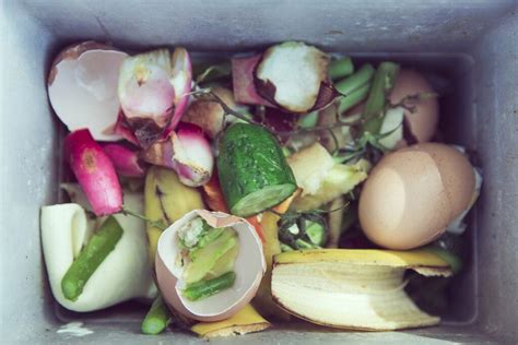 Wet Waste Examples
