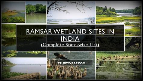 wetland dating site