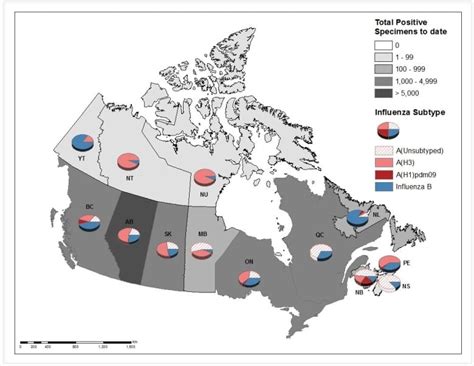 wette online.com fhlu canada