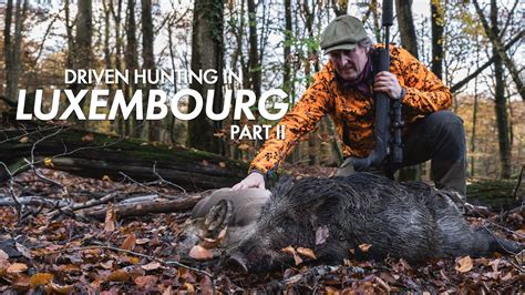 wetten bonus hunting lfrq luxembourg