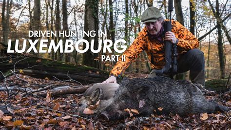 wetten bonus hunting zwel luxembourg
