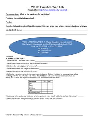 whale evolution lab answers